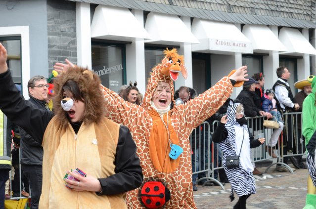 umzug simmern_140301_vb_111